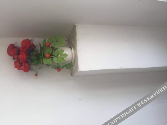 Хуаншань: Qile Rejia Hostel