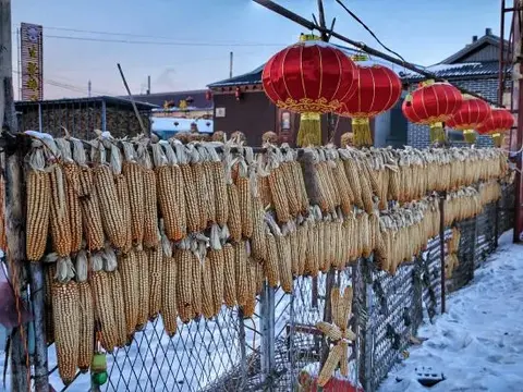 Цзилинь: Jilin Wu Song Dao Jia Xin Hostel
