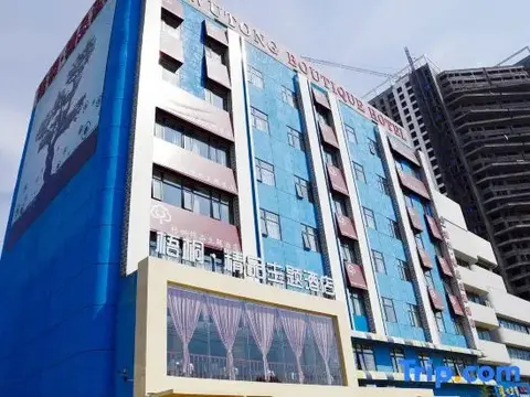 Наньян: Wutong Boutique Theme Hotel (Nanyang Wollongong Railway Station)