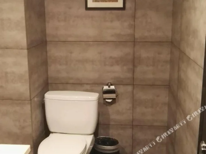 Лишуй: 龙泉维也纳主题酒店