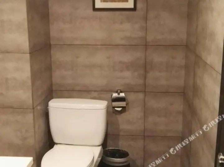 Лишуй: 龙泉维也纳主题酒店
