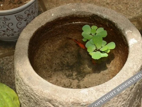 Цюаньчжоу: 泉州中山咖啡客栈