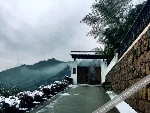 Ханчжоу: Artocarpus Guest House