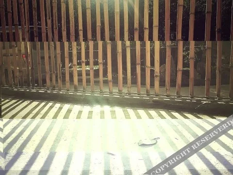 Ханчжоу: Artocarpus Guest House