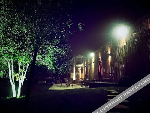 Ханчжоу: Artocarpus Guest House
