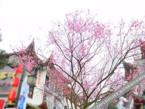 Эньши: Enshi Daughter City Shemi Su Ya Hotel
