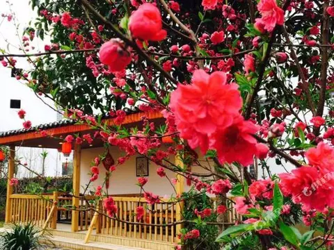 Яншо: Yangshuo Xiangui Manor (Yulong River Scenic Area)
