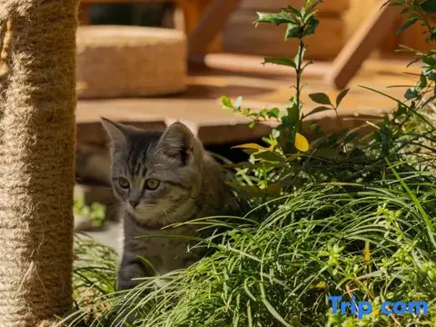 Хуаншань: Ten year Boutique Hostel