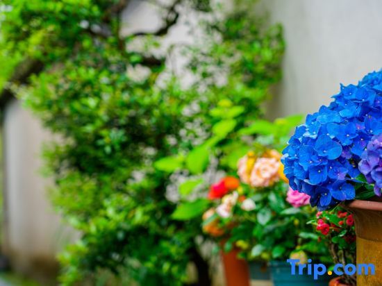 Хуаншань: Ten year Boutique Hostel