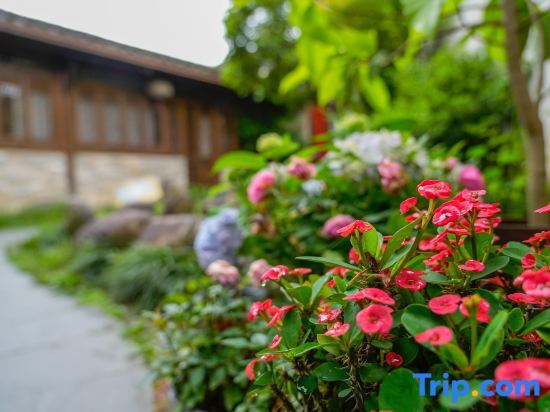 Хуаншань: Ten year Boutique Hostel