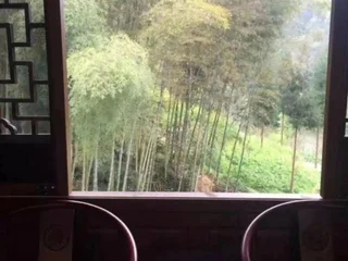 Чунцин: Shanlin Holiday Hotel