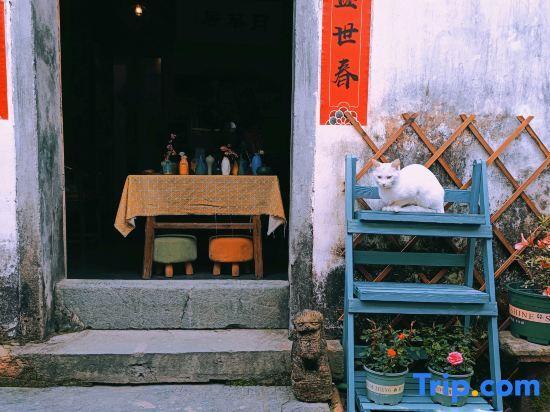Шанграо: Alley Time Inn