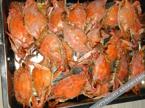 Циньхуандао: sulanlvguan