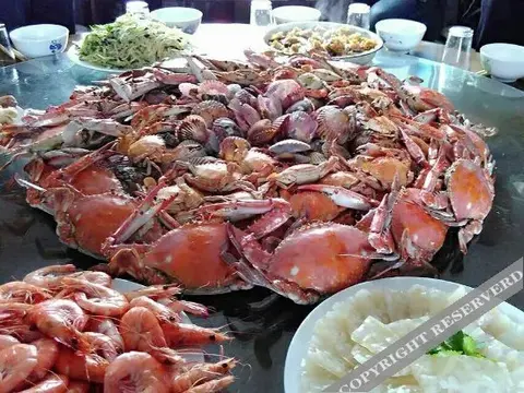 Циньхуандао: sulanlvguan