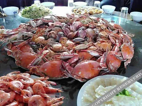 Циньхуандао: sulanlvguan