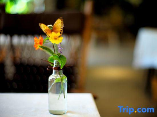Лишуй: Yunduan Mijing Boutique Hostel