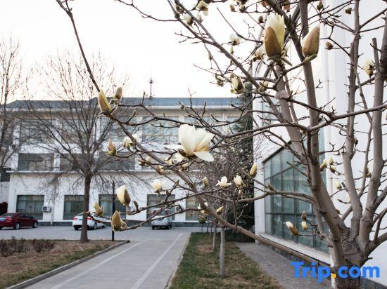 Хандань: Yu Jing Lou Hotel