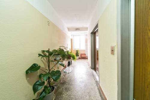 Москва: Apartment Vienna