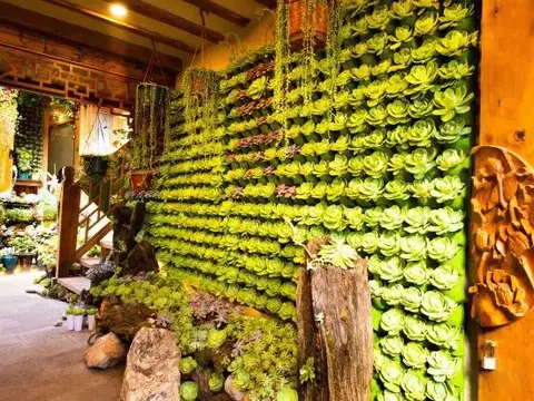Лицзян: Baisuiyuan Inn