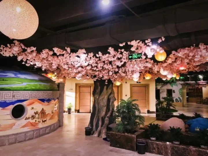 Тяньцзинь: Saina Island Hot Spring Hotel