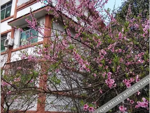 Чунцин: 重庆星宿丽景酒店