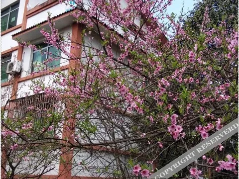 Чунцин: 重庆星宿丽景酒店