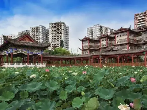 Hualongcheng Hotel — фото 5