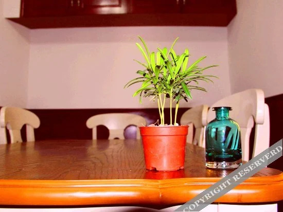 Чжоушань: Shayue Hotel