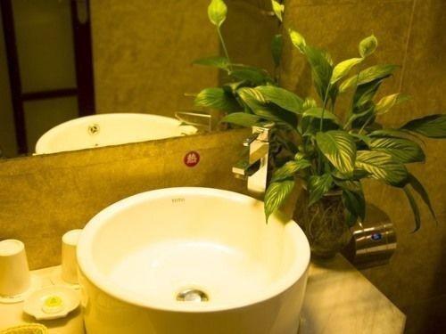 Хуаншань: GreenTree Alliance Huangshan Gengcheng Town Huangshan Scenic Spot North Gate Hotel