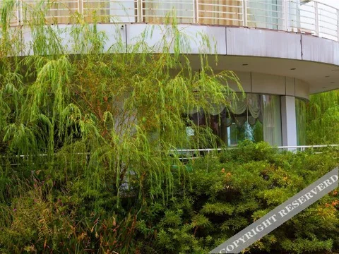 Чанша: Xiye Hotel (Changsha Qingyuan)