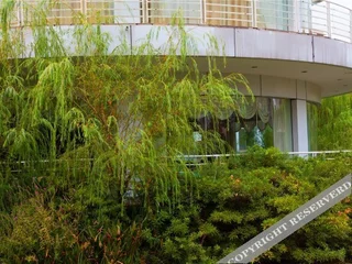 Чанша: Xiye Hotel (Changsha Qingyuan)