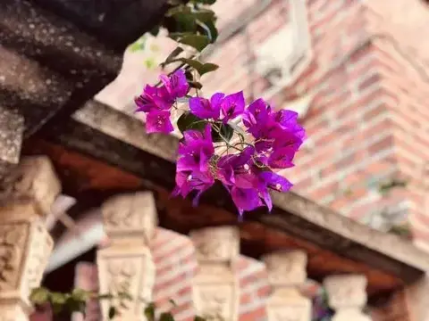 Сямынь: Gulangyu Four Seasons Flower Hotel (Sanqiutian Wharf)