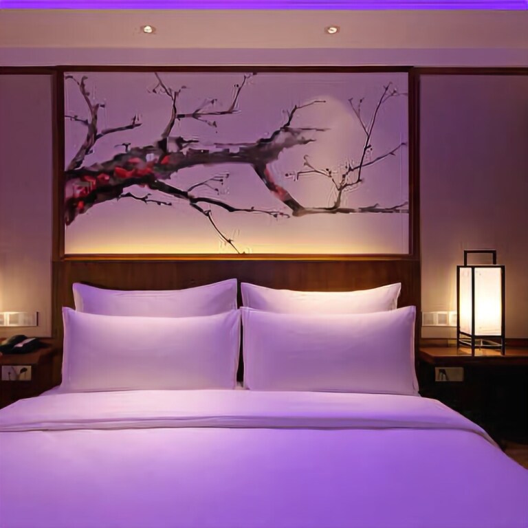 Чунцин: Domo Hotel
