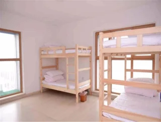 Харбин: Harbin Lemon Tree Youth Hostel