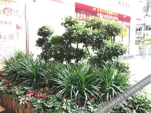 Чунцин: Wudeng Garden Hotel