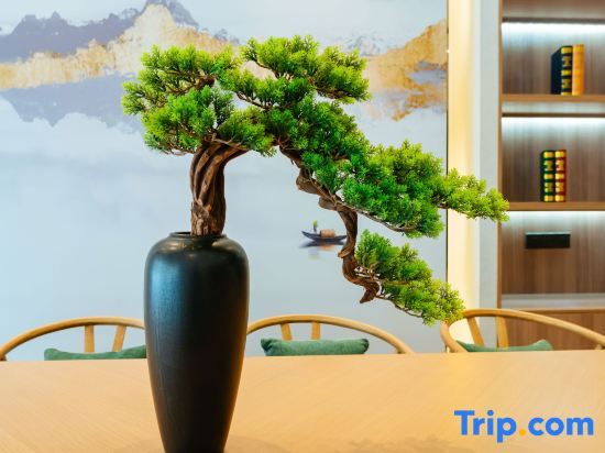 Синьчжоу: Starway Hotel (Wutaishan)