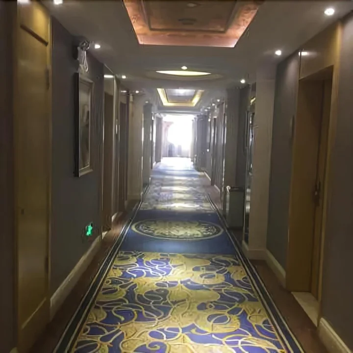 Чжэнчжоу: Vienna Hotel
