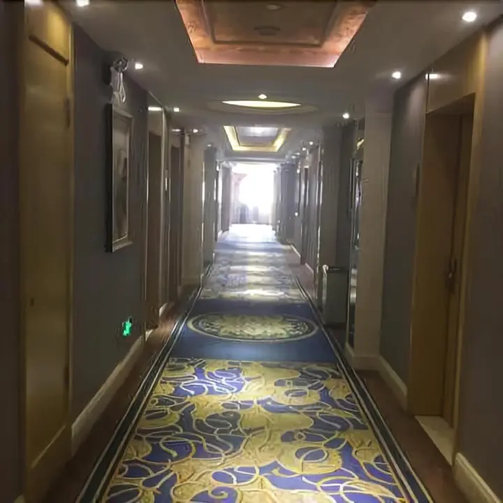 Чжэнчжоу: Vienna Hotel