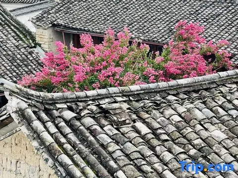 Баошань: Tengchong Soul Recovery Fuxilou Inn (Yalya Lake Branch)