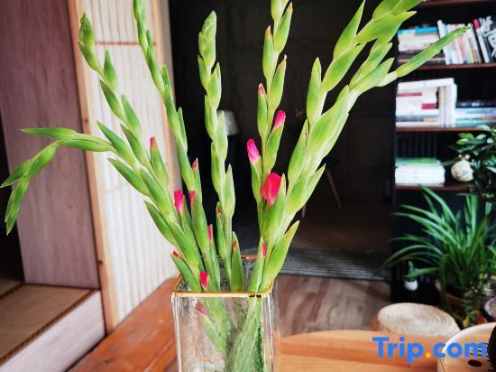 Баоцзи: Taibaishan Yinxiangli Homestay