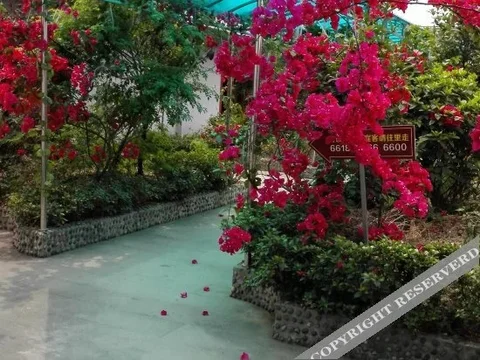 Мэйшань: Yuhuayuan Hotel