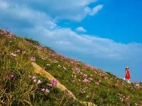Чжоушань: Shengshan Island Lejia Hostel