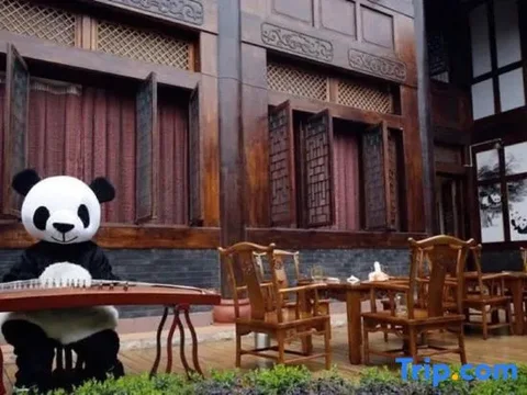 Лешан: Many Panda Inn Emeishan