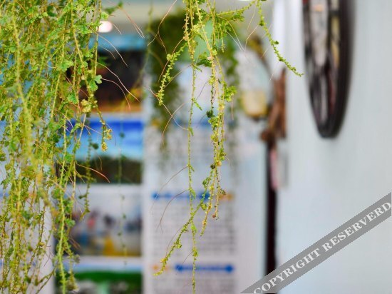 Бэйхай: Weiyi Themed Hostel