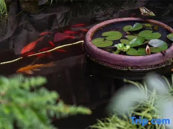 Хуаншань: Yupingge·Long history Viewing Huizhou Design Homestay (Hongcun Pingshan Scenic Area)