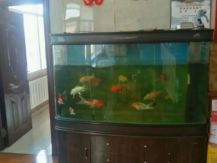 Харбин: Harbin Shunhang Hotel