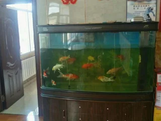 Харбин: Harbin Shunhang Hotel