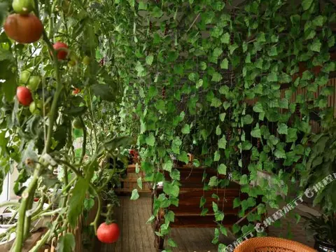 Чанчунь: Longjia Tianyuan Hotel