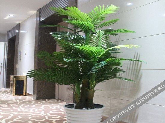 Куньмин: Yunlai Hotel