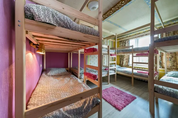 Crazy Monkey Hostel next to the Moscow Zoo — фото 2